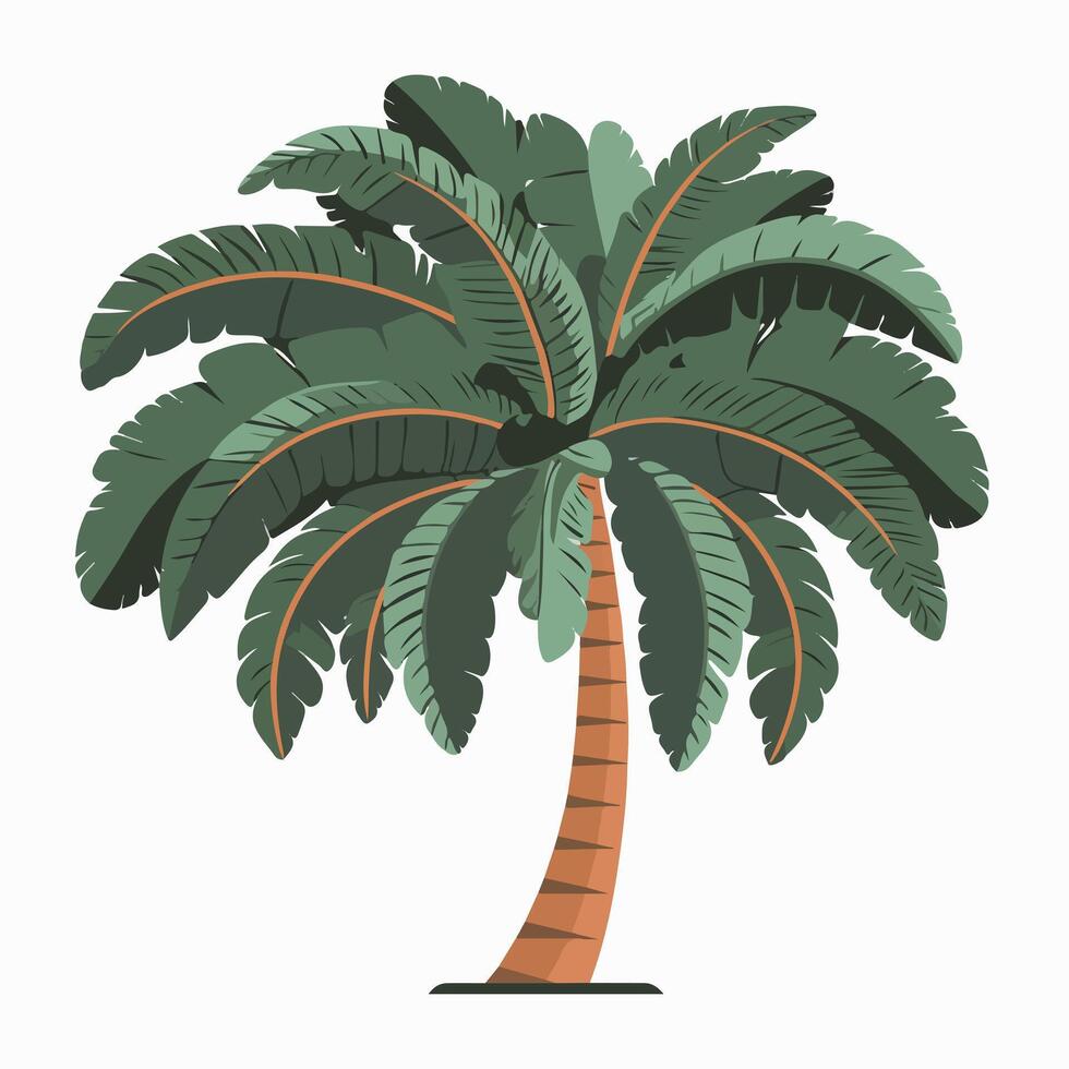Tropical Palm Tree Illustration on a White Background vector