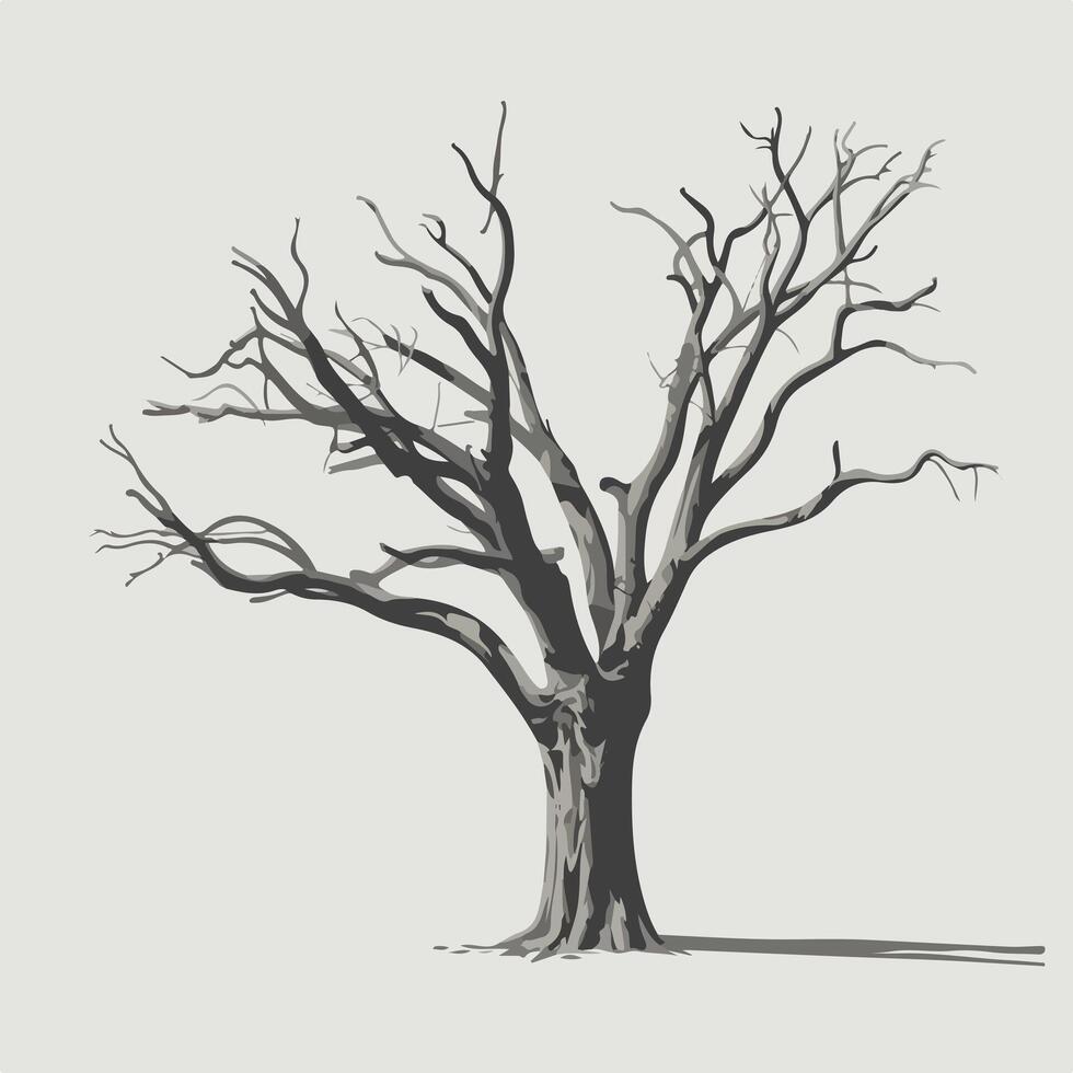 A black and white illustration of a tree with no leaves vector
