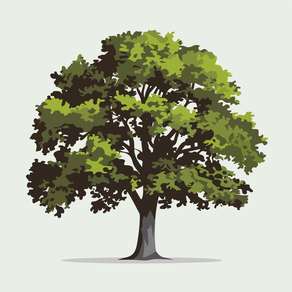 A tree with green leaves on a white background vector