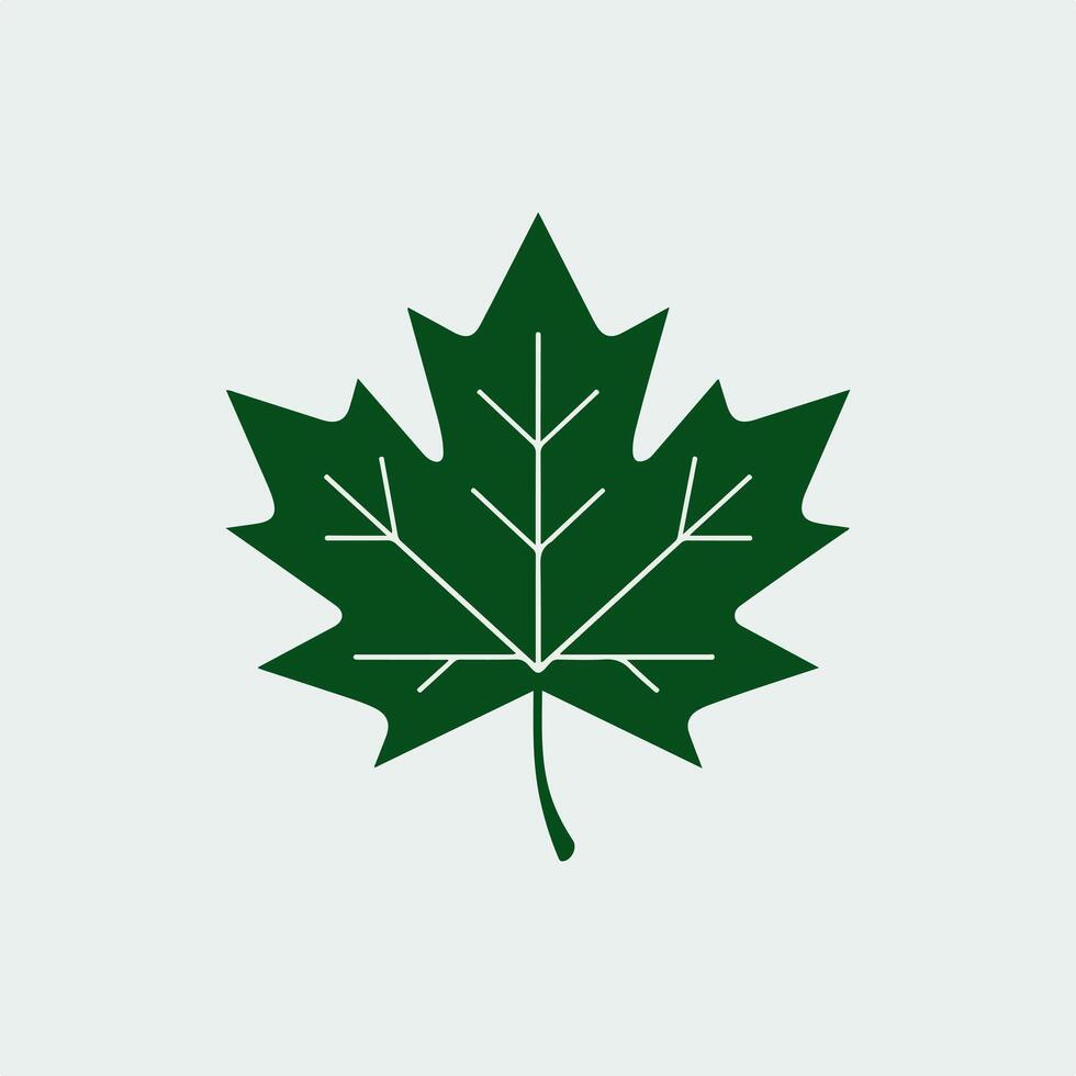 A green maple leaf icon on a white background vector