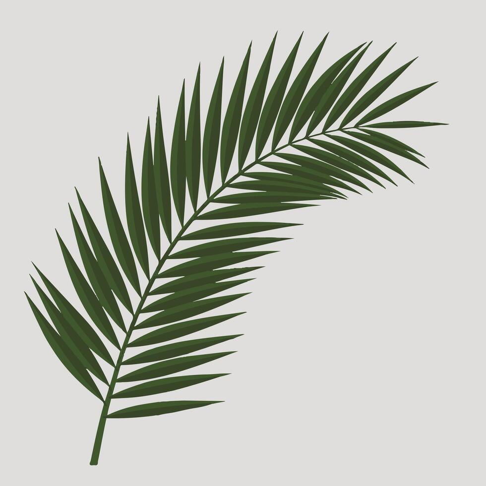 Palm leaf flat illustration style vector