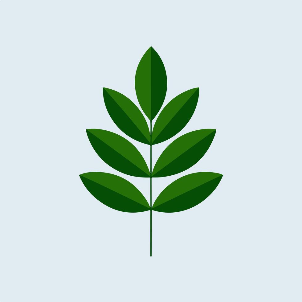 A green leaf icon on a white background vector