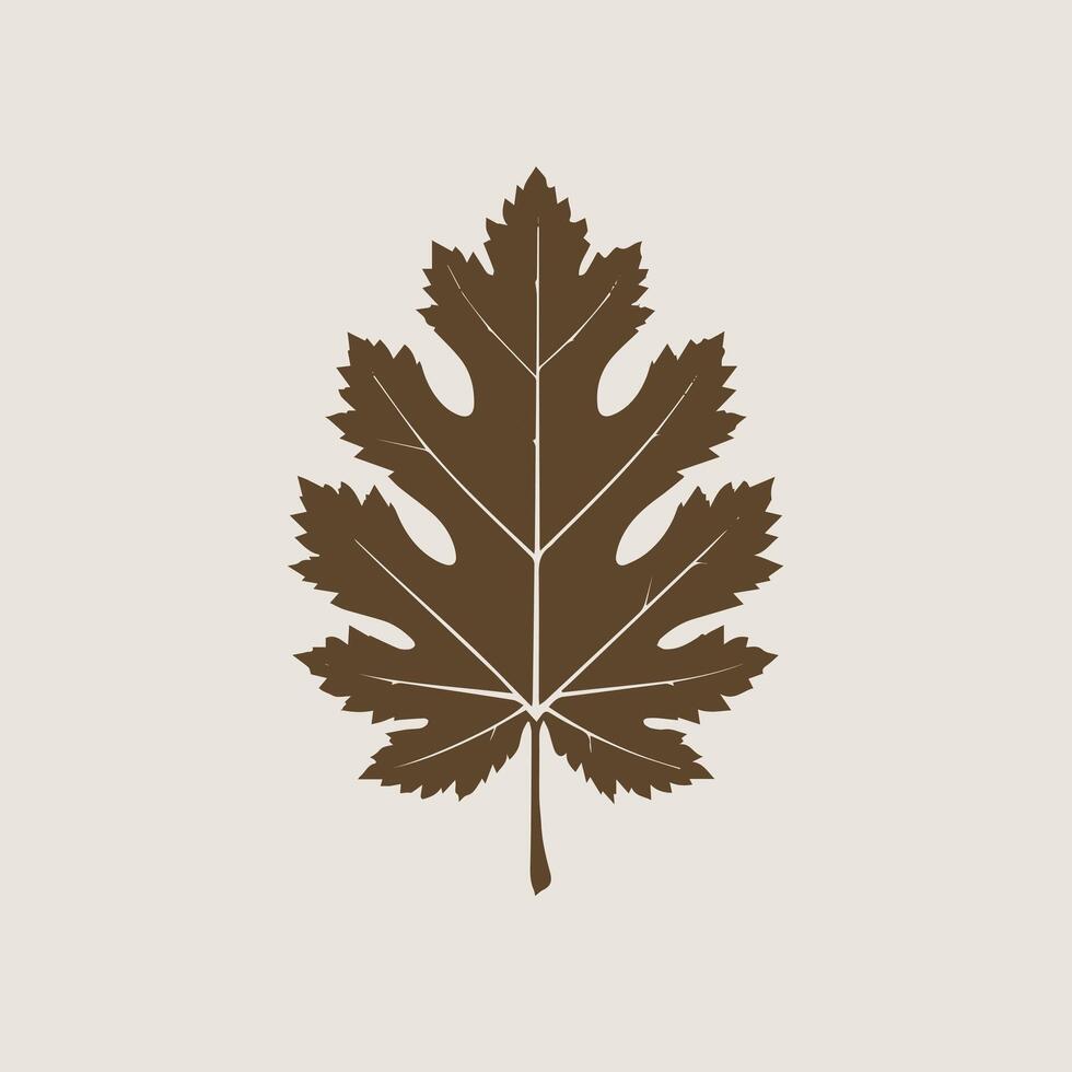 A brown leaf on a beige background vector
