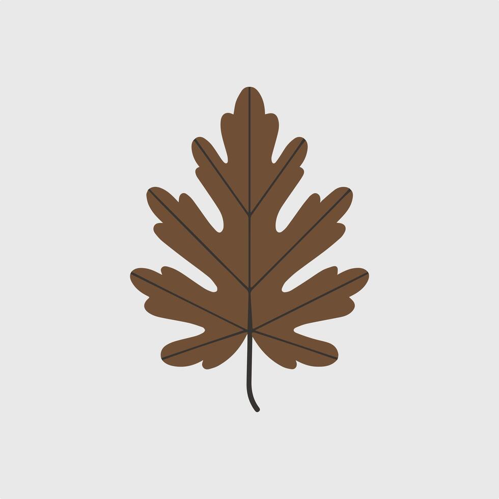 A brown oak leaf on a white background vector