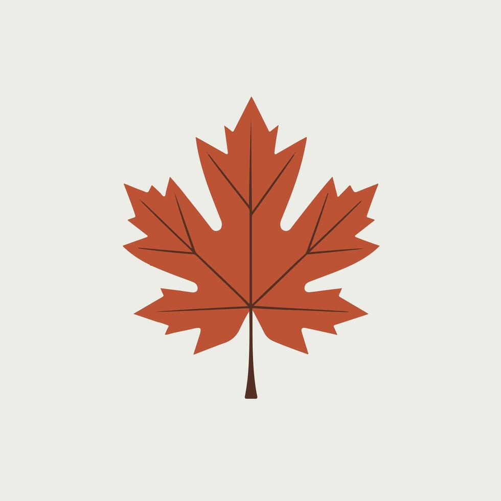 A maple leaf is shown in a flat design vector