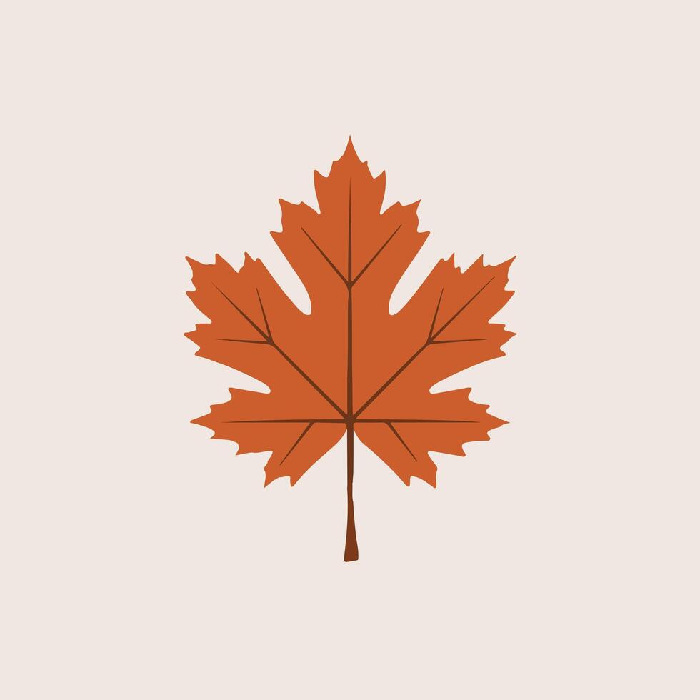 A maple leaf on a beige background vector