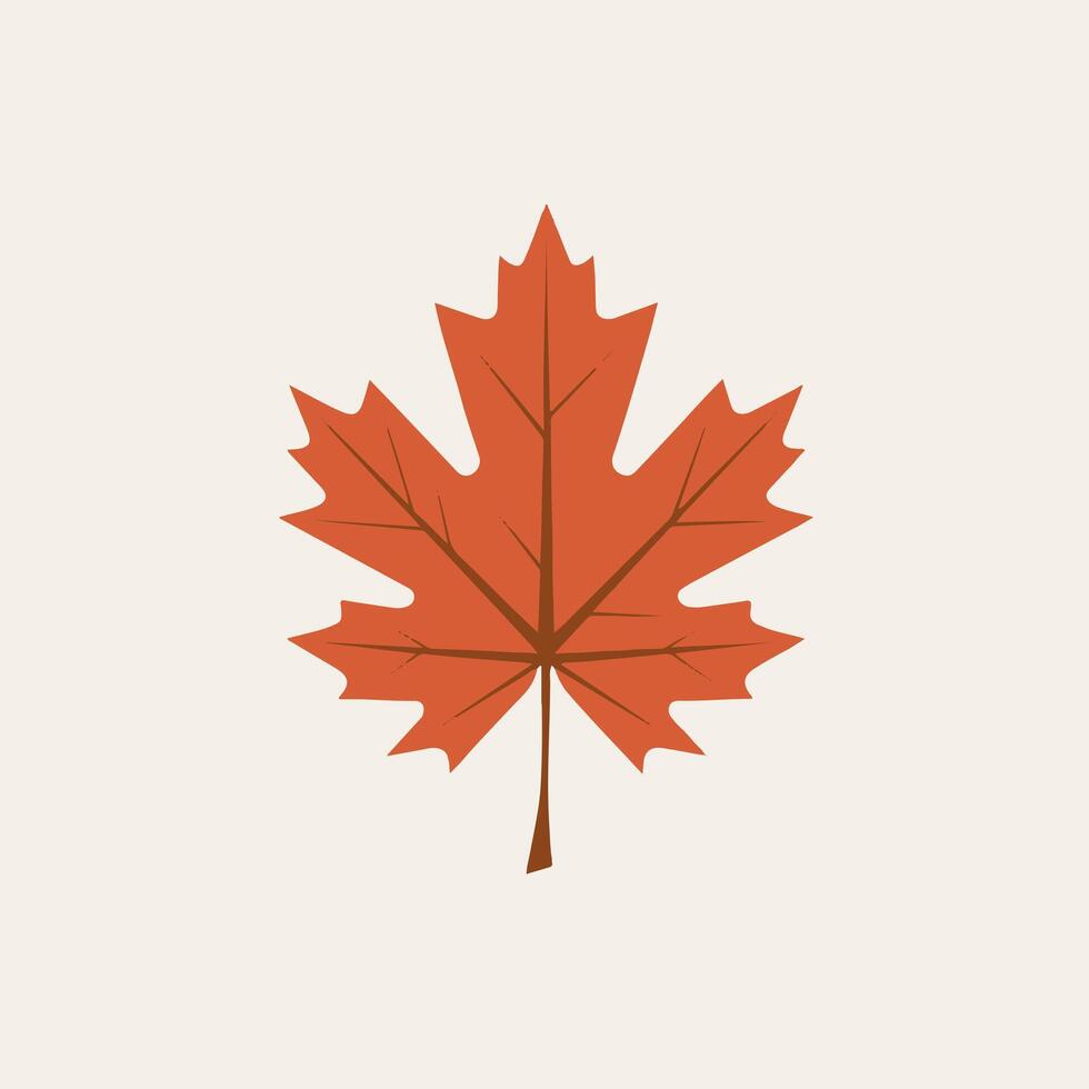 A maple leaf is shown on a white background vector