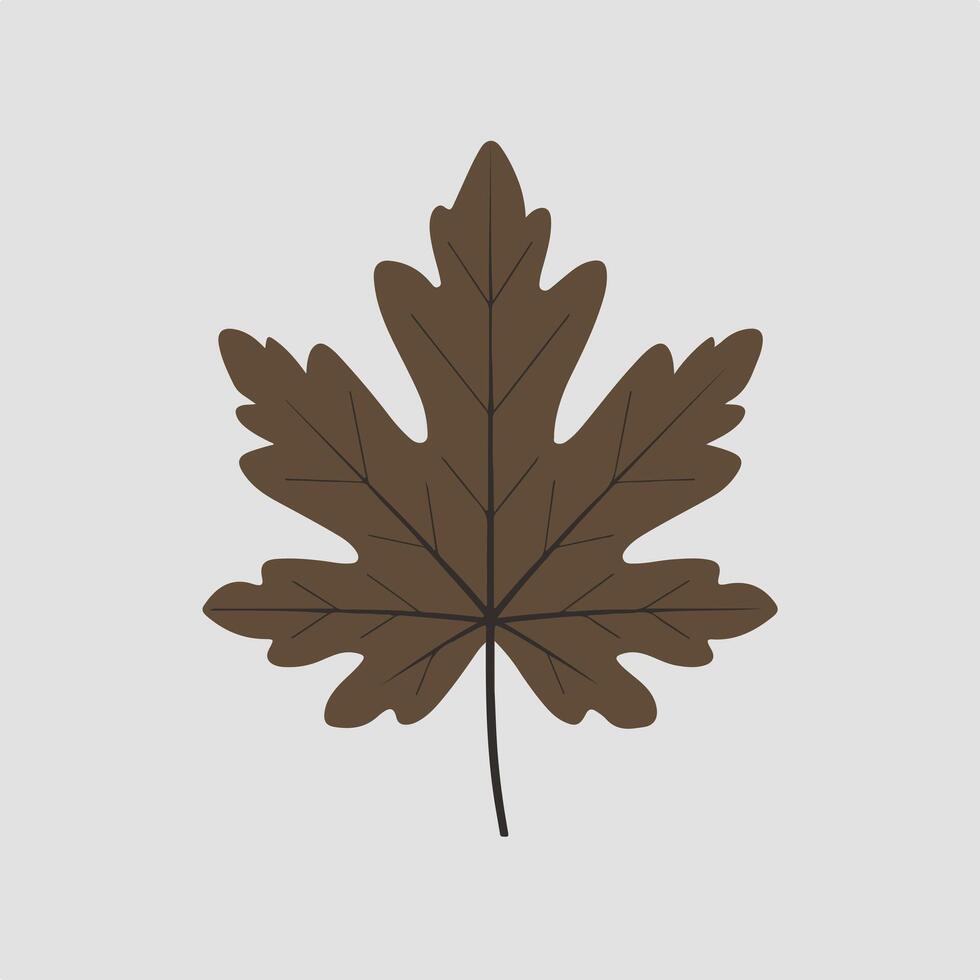 A brown maple leaf on a gray background vector