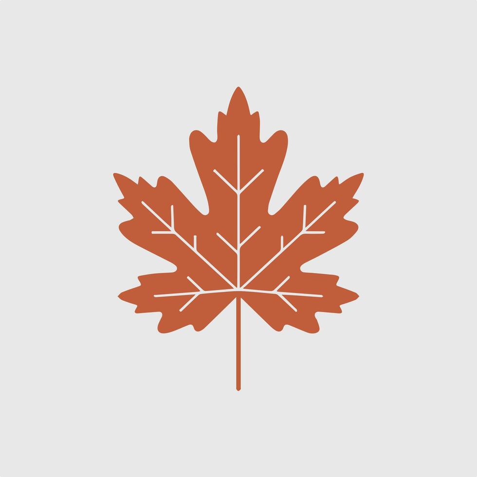 A maple leaf icon on a white background vector