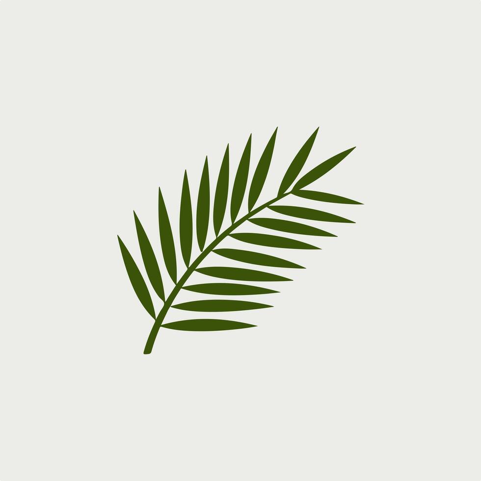 A palm leaf icon on a white background vector