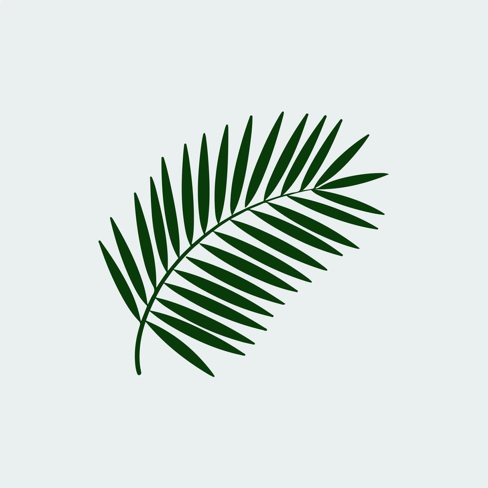 Palm leaf icon on white background vector