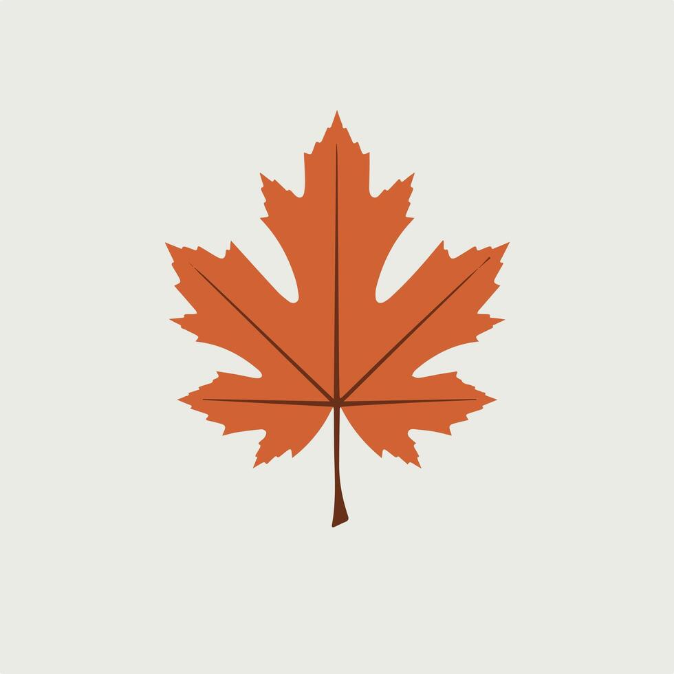 A maple leaf is shown on a white background vector