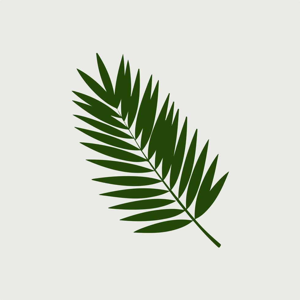 Palm leaf flat illustration vector