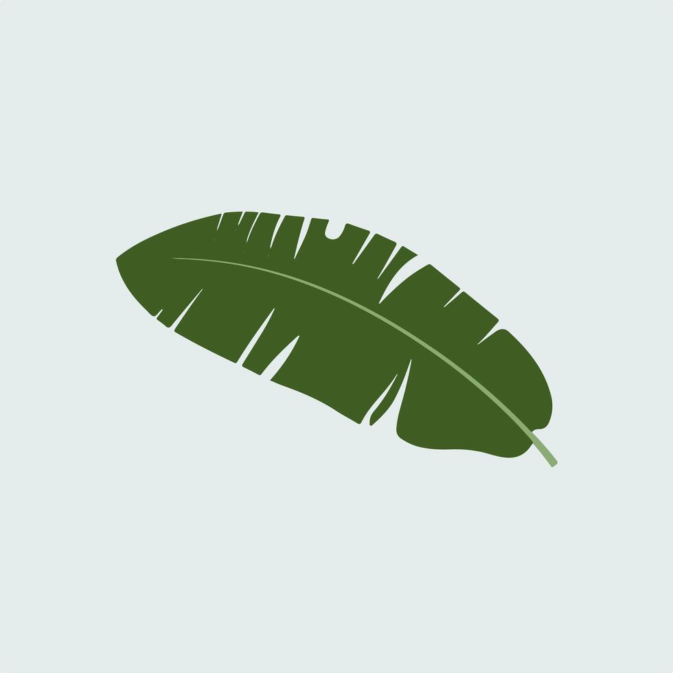 Banana leaf icon illustration vector