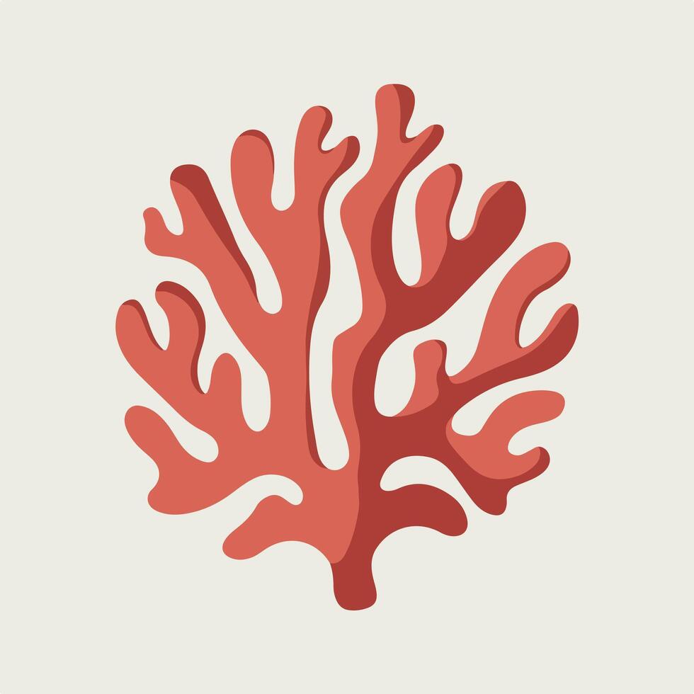 A coral on a white background vector