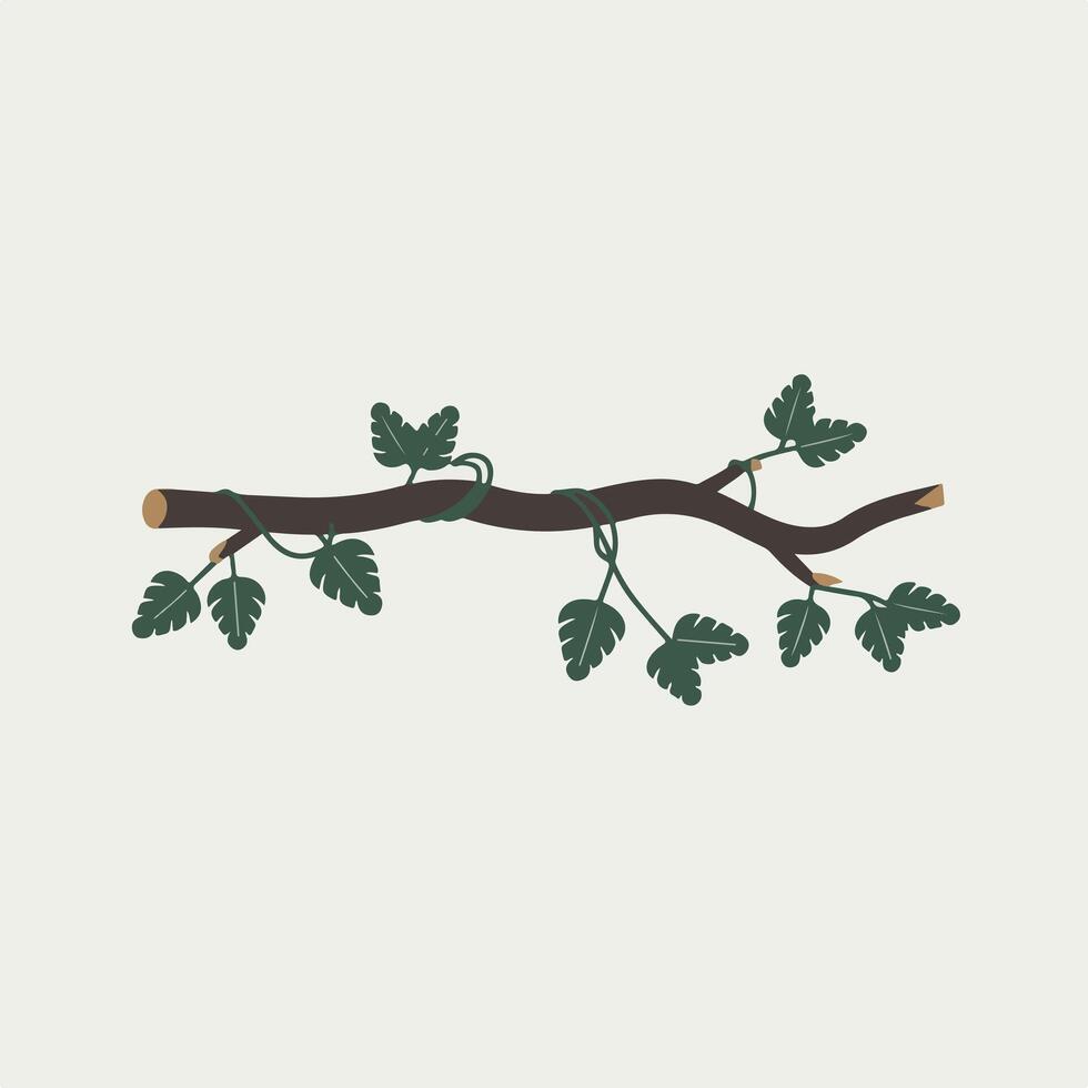 A branch with leaves on it vector