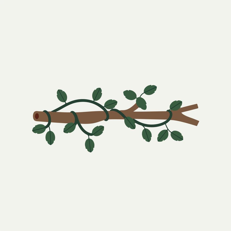 A branch with leaves on it, with a white background vector