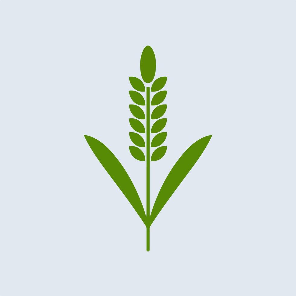 A wheat plant icon on a light blue background vector