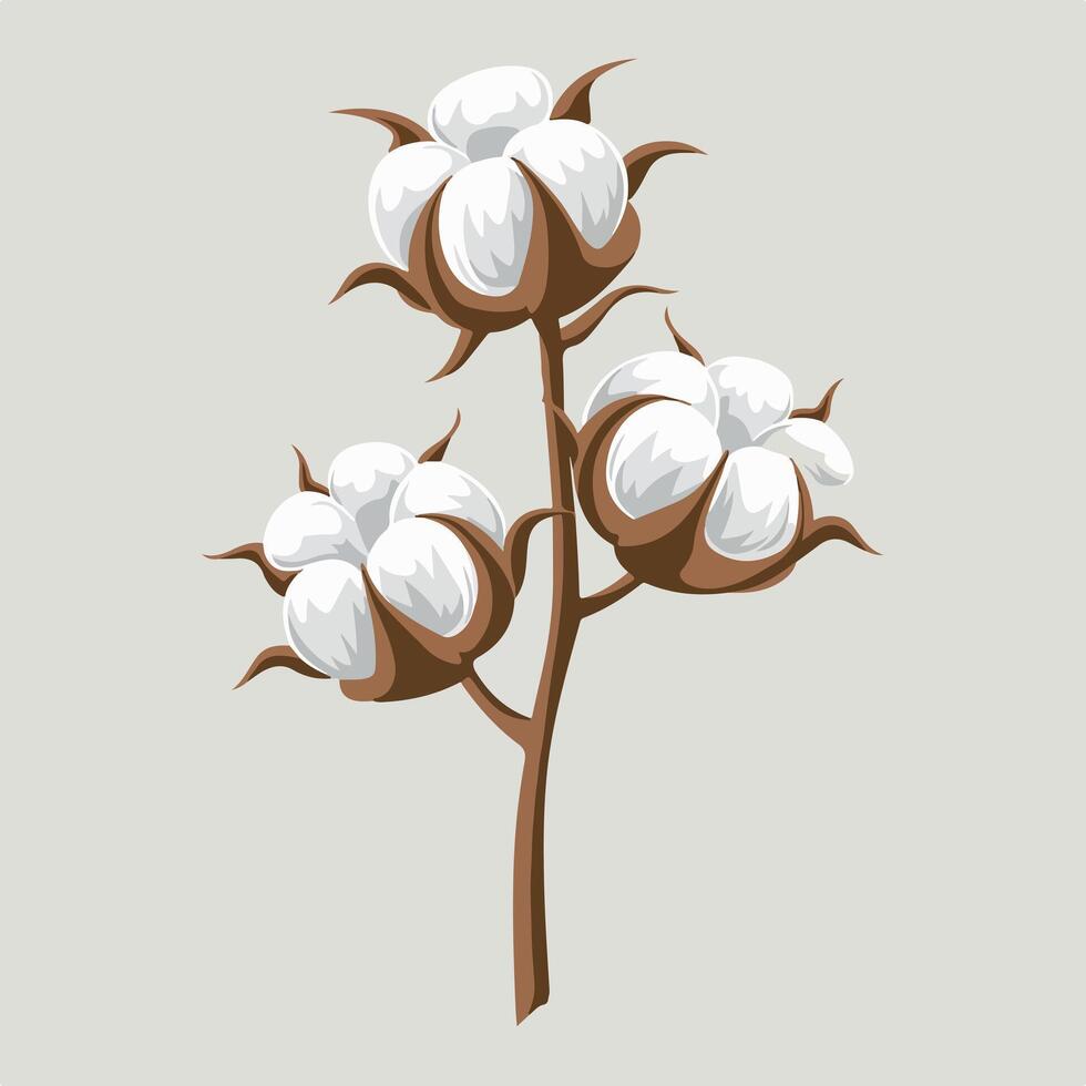 illustration of cotton plant with leaves and flowers vector