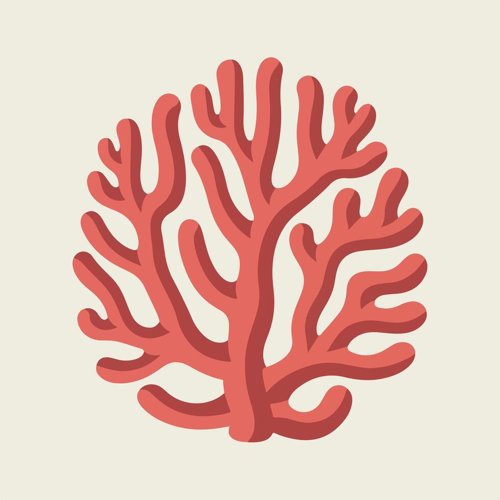 A coral on a white background vector