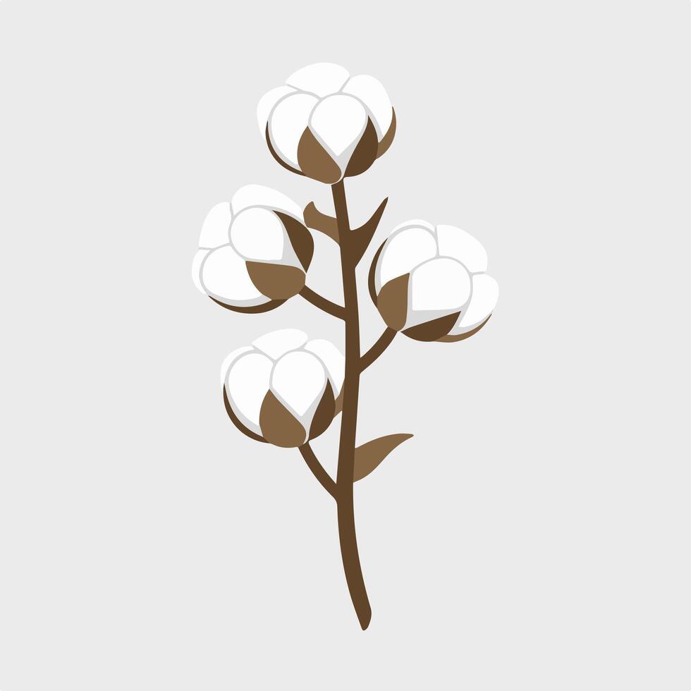 Cotton flowers illustration vector