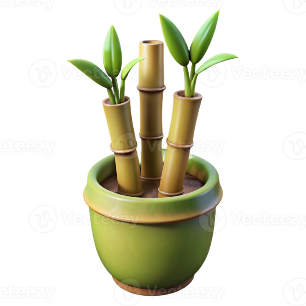 beautiful contemporary Bamboo Plant in Pot Side View Isolated genuine png