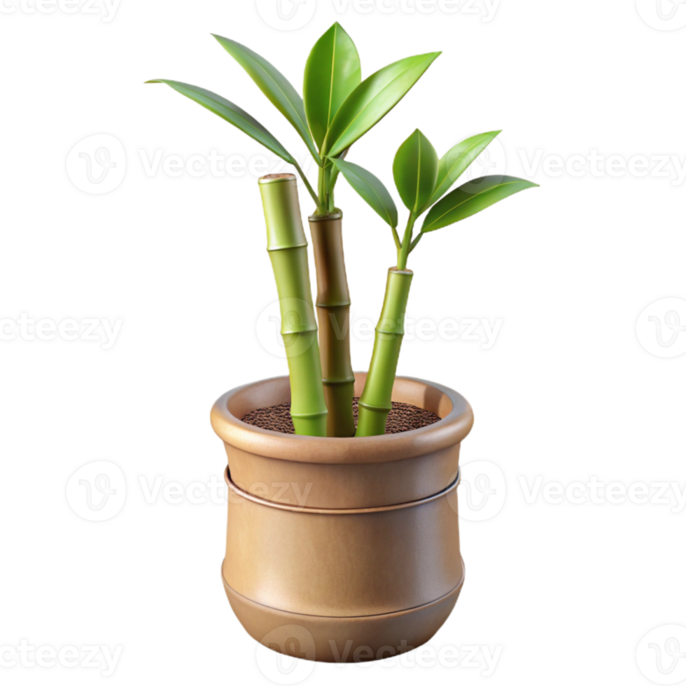 stunning classic Bamboo Plant in Pot Side View Isolated authentic png