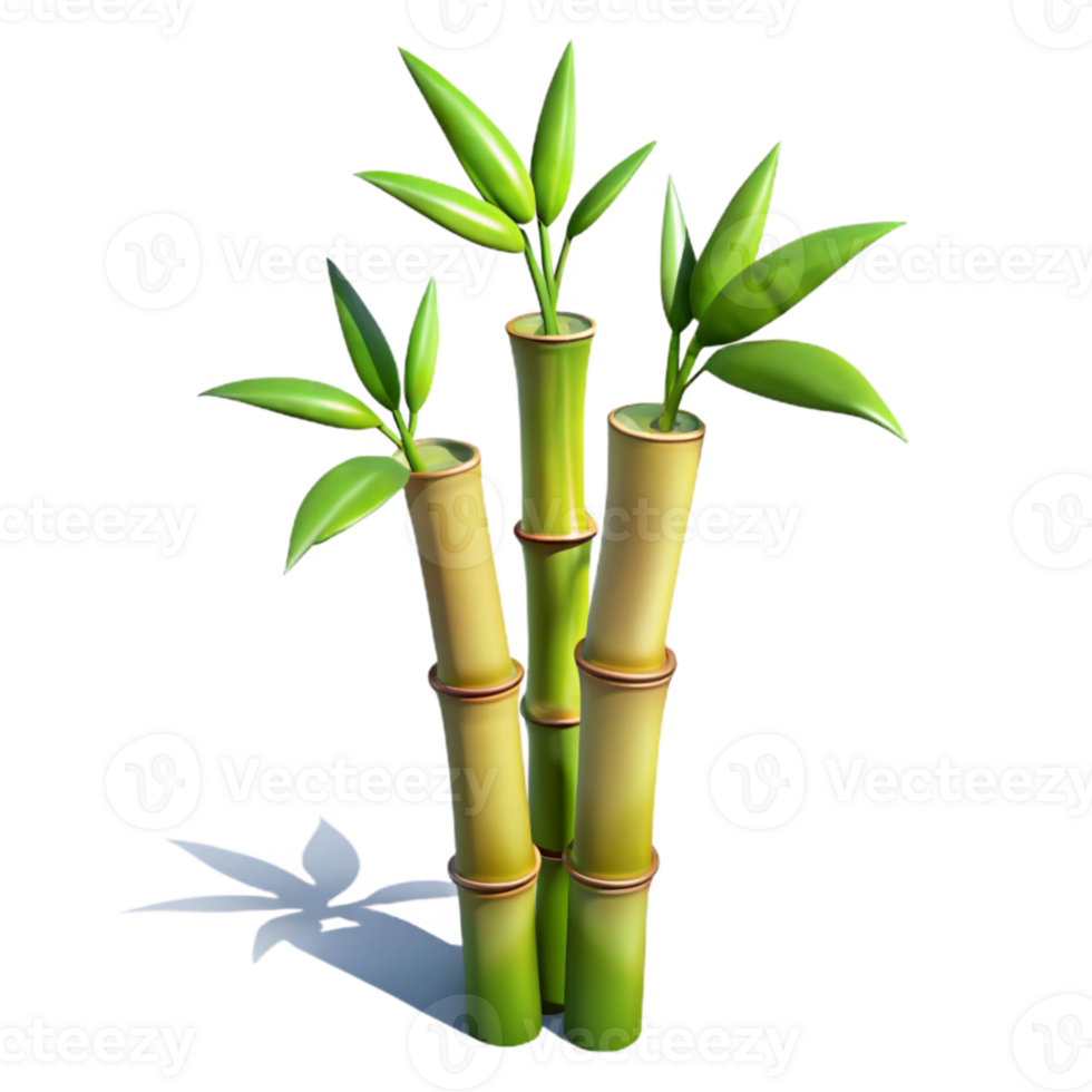 magnificent minimalist Bamboo Plant Cutout with Realistic Shadows high resolution png