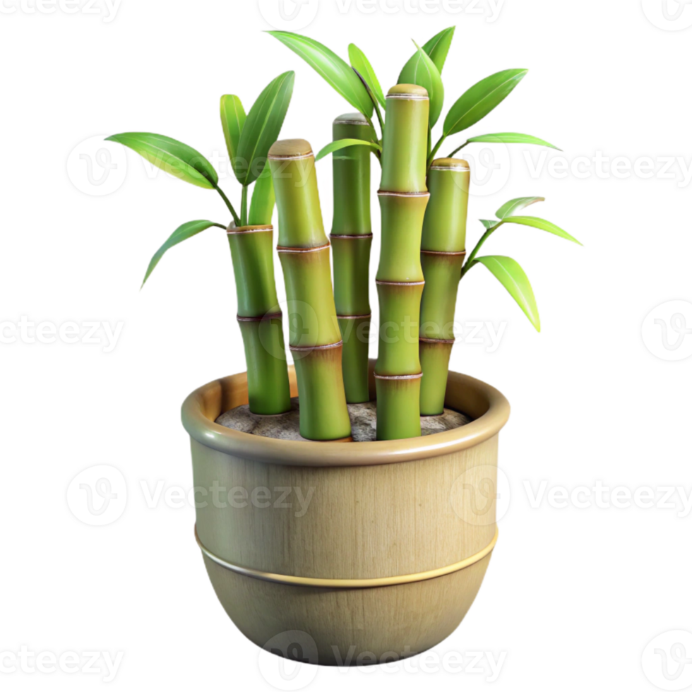 wonderful abstract Bamboo Plant in Pot Side View Isolated authentic png