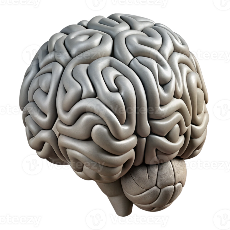 magnificent minimalist Brain Outline Complex Structure Grey Cutout premium png