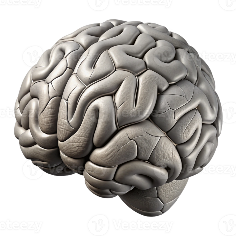 beautiful modern Brain Outline Complex Structure Grey Cutout detailed png