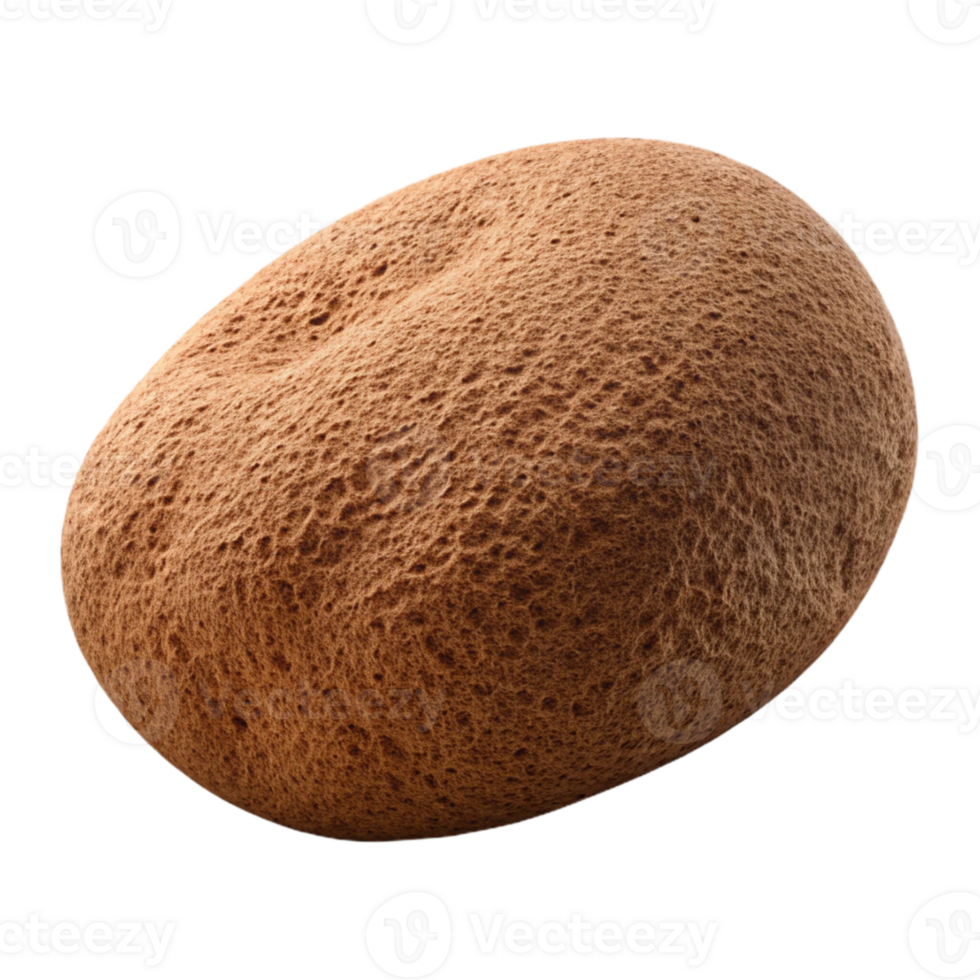 stunning abstract Brown Konjac Sponge Isolated on Transparent Background authentic png