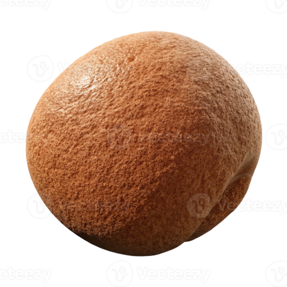 wonderful contemporary Brown Konjac Sponge Isolated on Transparent Background exclusive png