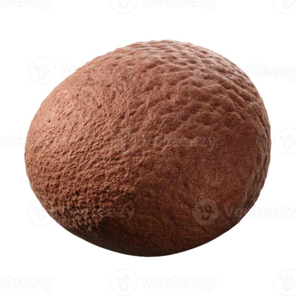 serene classic Brown Konjac Sponge Isolated on Transparent Background premium png