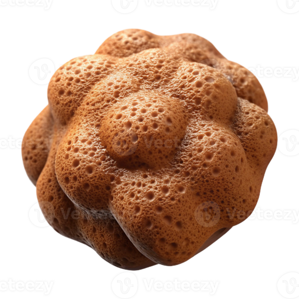 elegant vintage Brown Loofah Sponge Isolated on Transparent Background genuine png