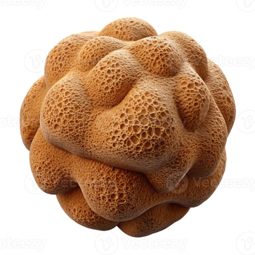 beautiful contemporary Brown Loofah Sponge Isolated on Transparent Background authentic png