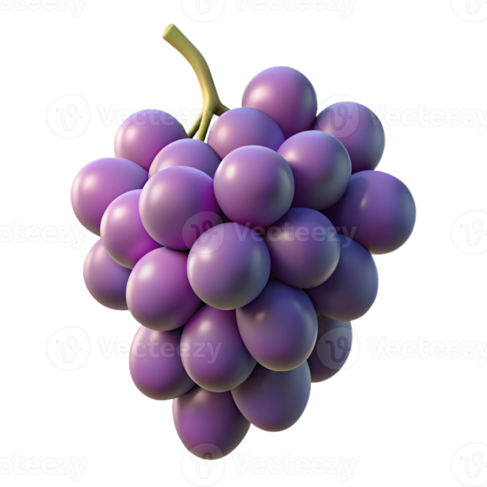dramatic vintage Cluster of Grapes with Stem Detail Transparent Background genuine png