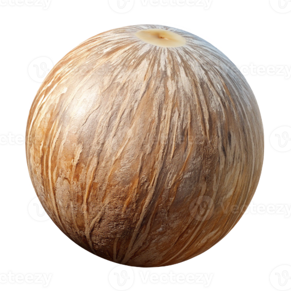 impressive modern Coconut Whole Fruit Cutout Transparent Background 4K png