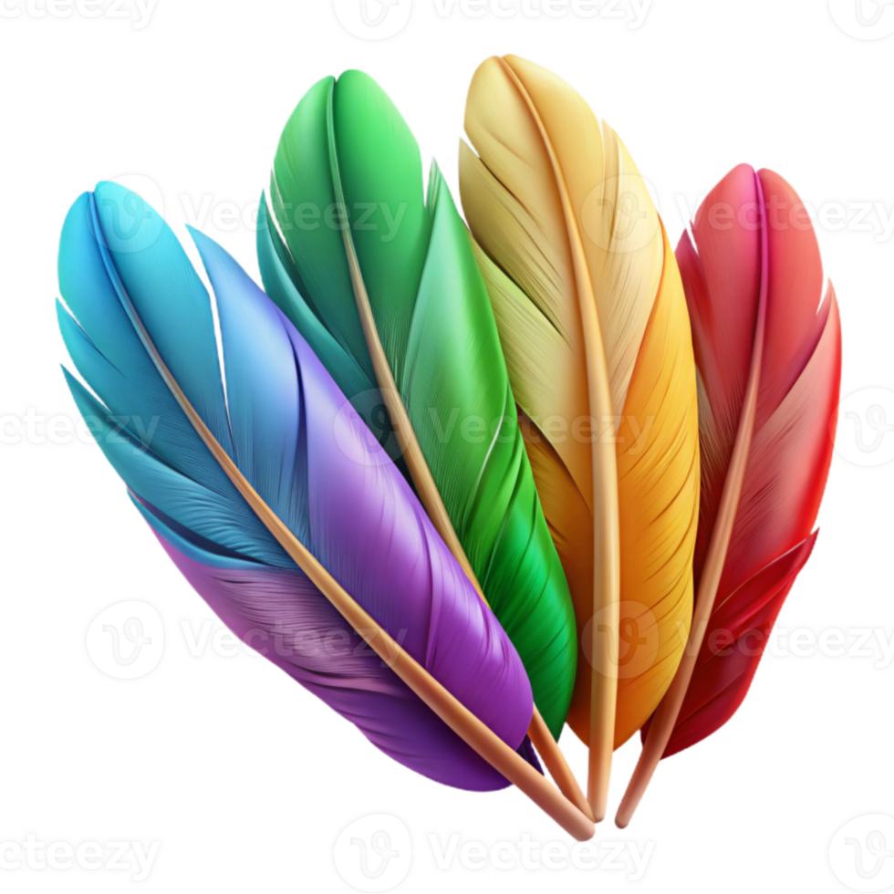 elegant modern Colorful Bird Feathers Close Up Isolated genuine png