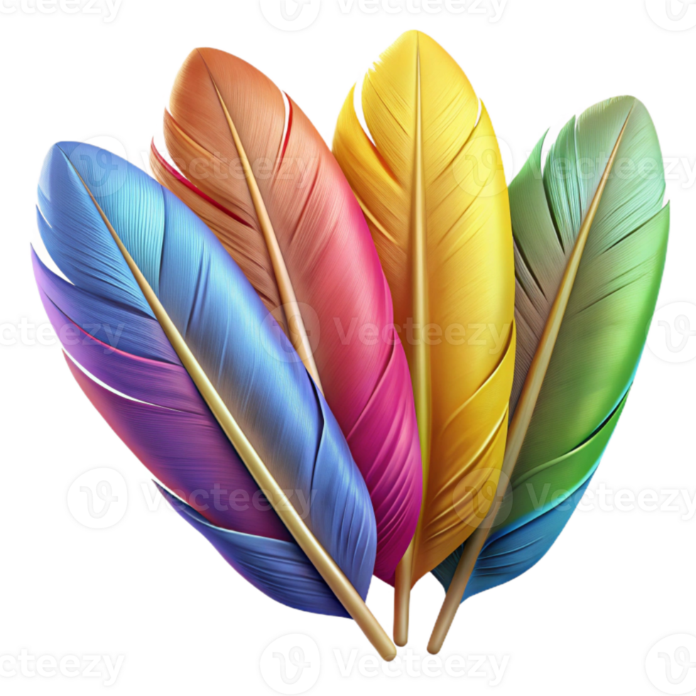 serene traditional Colorful Bird Feathers Close Up Isolated authentic png