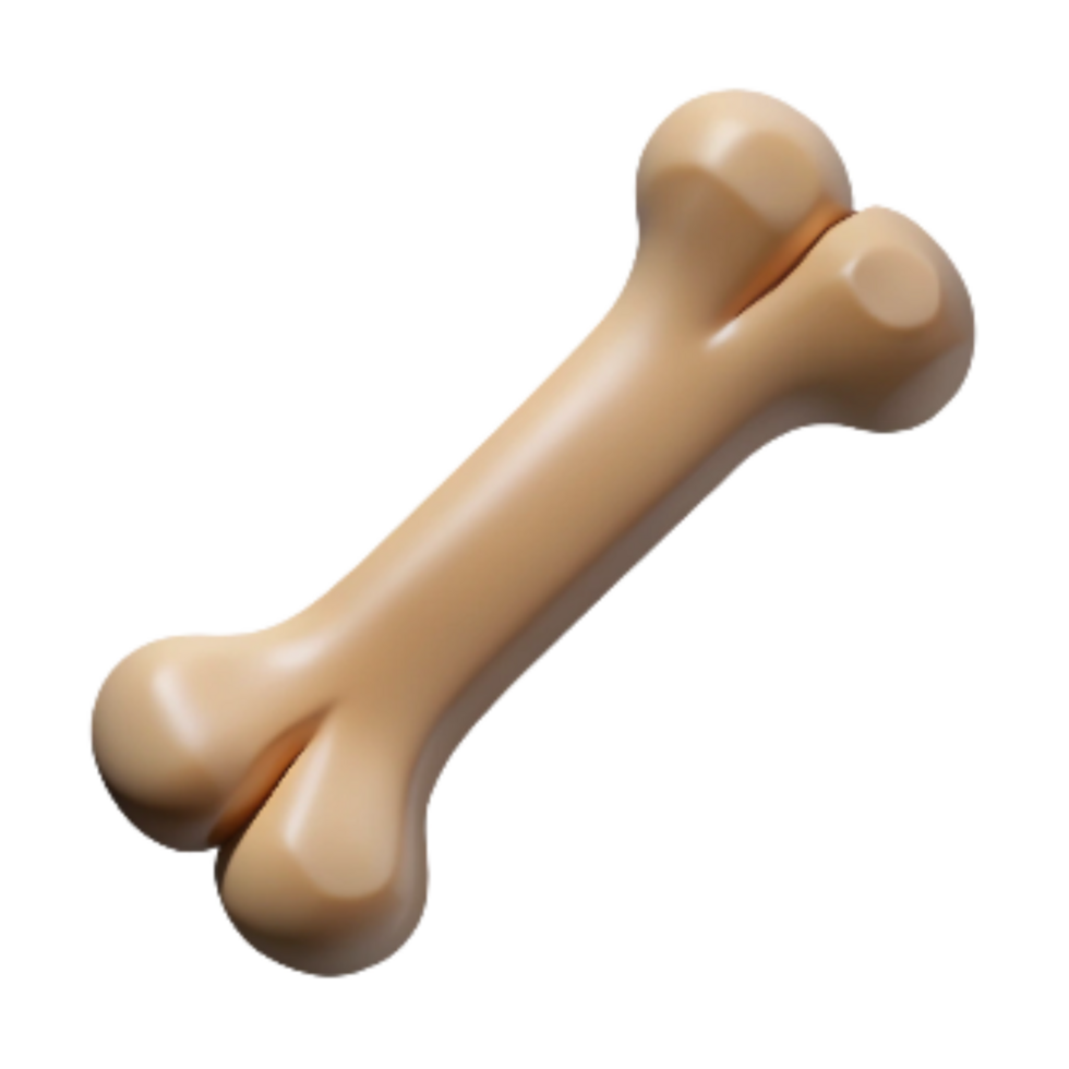 impressive artistic Dog Bone Isolated Element Transparent Background high quality png