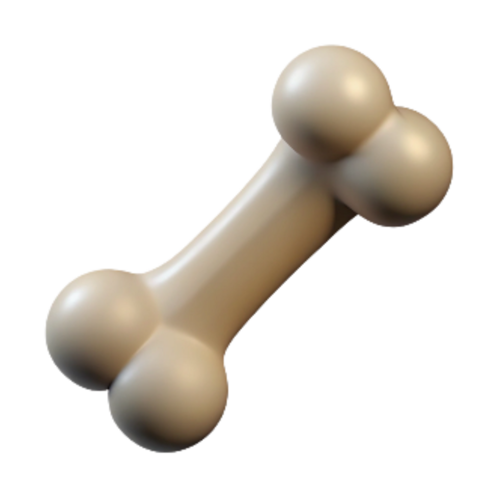 magnificent contemporary Dog Bone Isolated Element Transparent Background 4K png