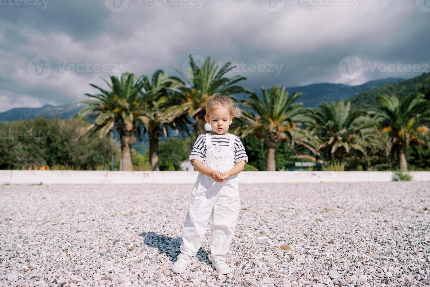 Little girl stands on the beach and looks at the pebbles in her hands photo