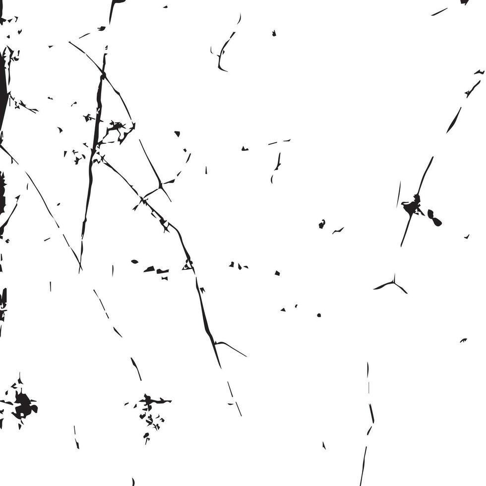 Tattered and Worn-Out Paper Overlay vector