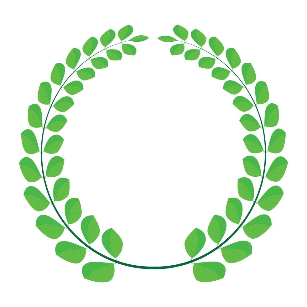 Green leaf icons. Leaves icon on isolated background. Collection green leaf vector