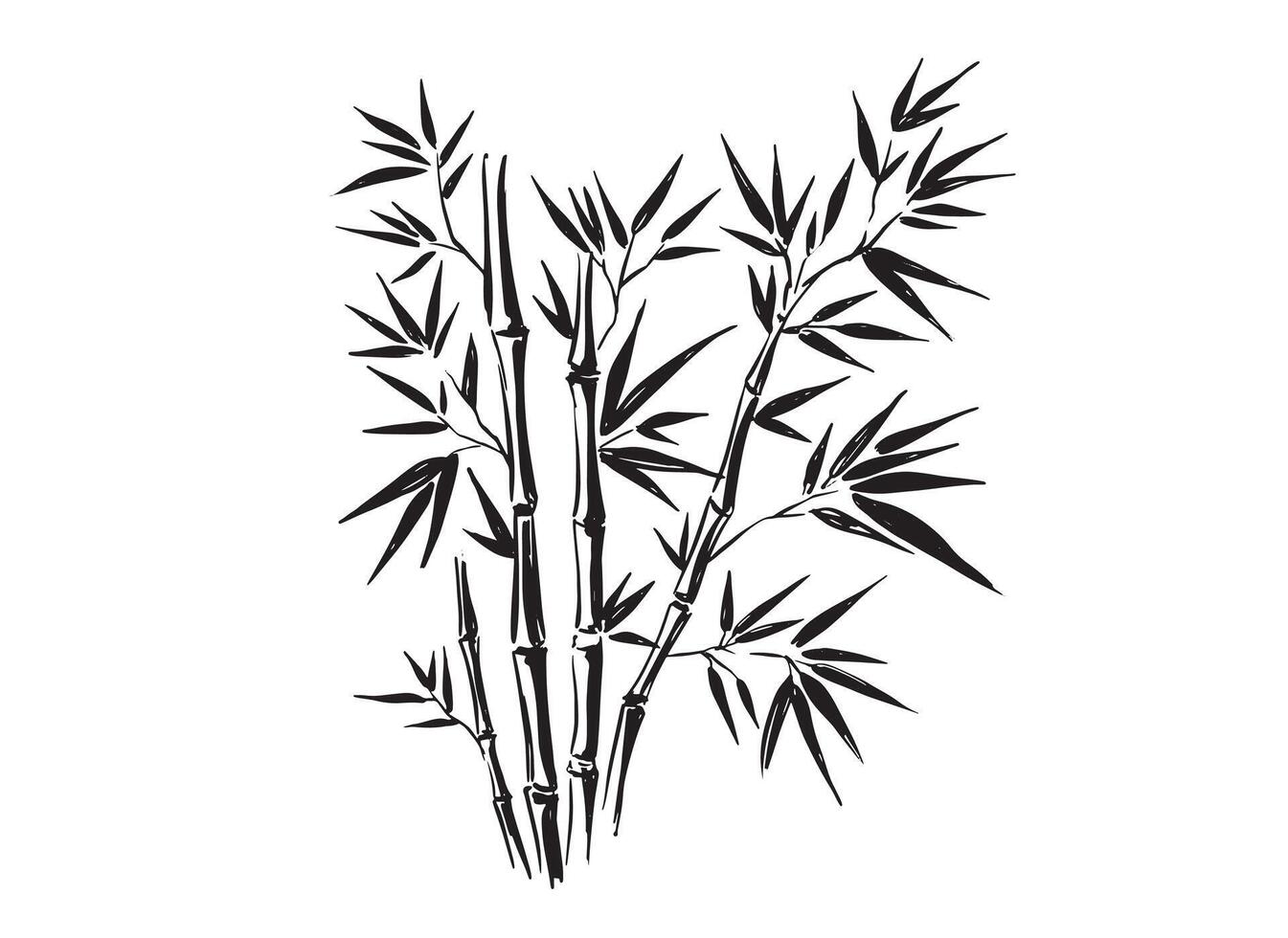 Bamboo tree , Hand drawn style vector
