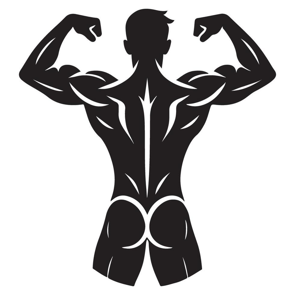 Rear Silhouette View Showing a Bodybuilder Back Muscles and Fitness vector