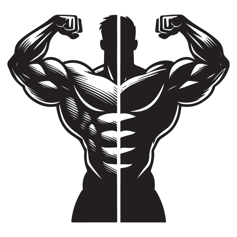 Detailed Bodybuilder Silhouette with Striations Illustration vector