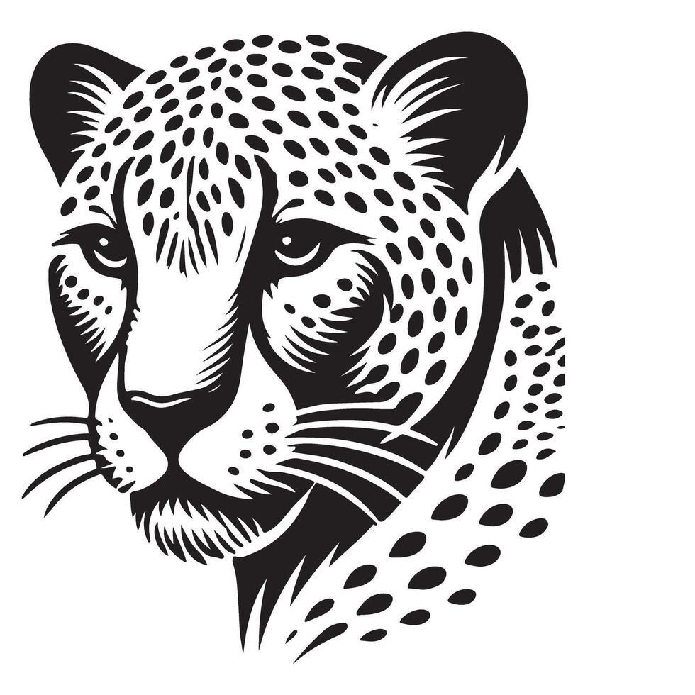 Detailed leopard illustration with spots for wildlife graphics vector