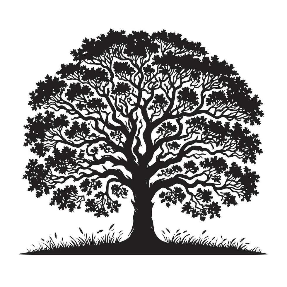 Silhouette Illustration of Majestic Oak Tree with Branches and Foliage vector